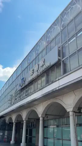 大東・四條畷つーしんのTikTok投稿