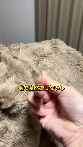 りゅうしんくんのTikTok投稿