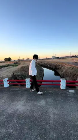 ばーじぼぶのTikTok投稿