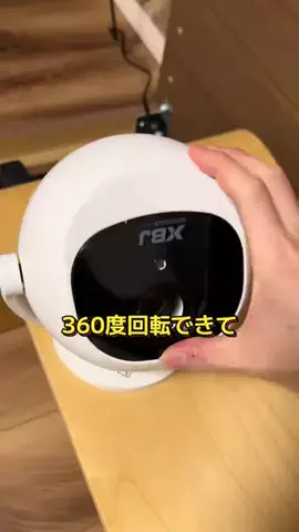 りゅうしんくんのTikTok投稿