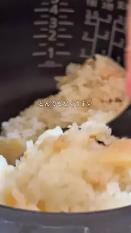 あや⌇ワンオペらく冷凍ストックのTikTok投稿