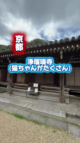 みやも人形のTikTok投稿