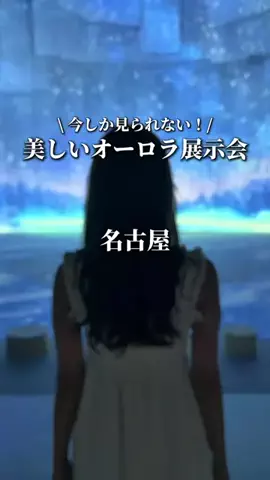 せなたび｜愛知・名古屋発の東海カップルデートのTikTok投稿