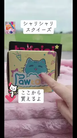みやも人形のTikTok投稿