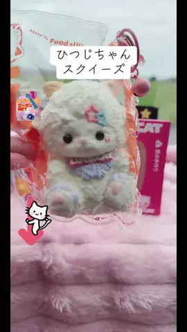 みやも人形のTikTok投稿