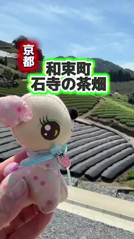 みやも人形のTikTok投稿
