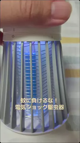 よしとらのTikTok投稿