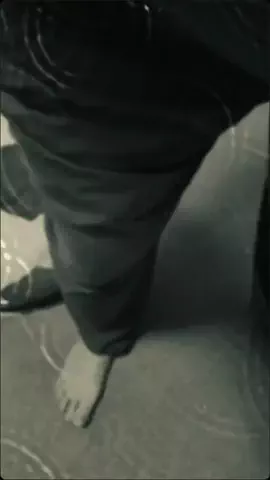 よしとらのTikTok投稿