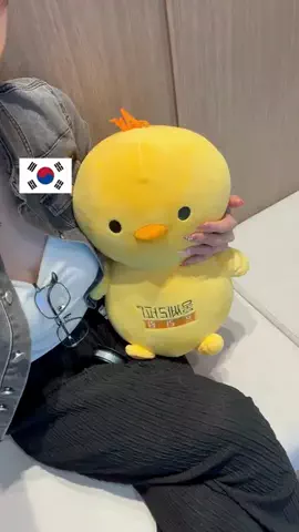 nekkorea(ねっこりあ) | リアルな韓国ガイドブックのTikTok投稿
