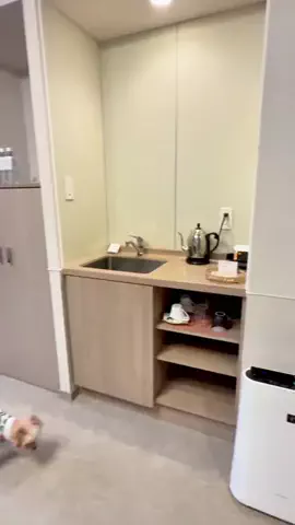 愛犬と行ける関東の宿のTikTok投稿