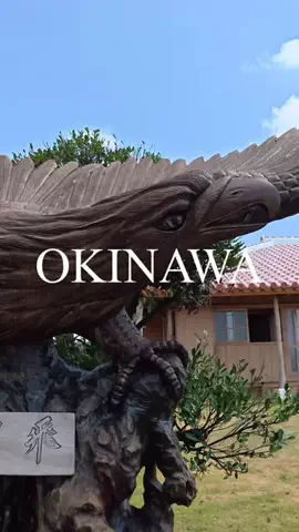沖縄からあなたへのTikTok投稿