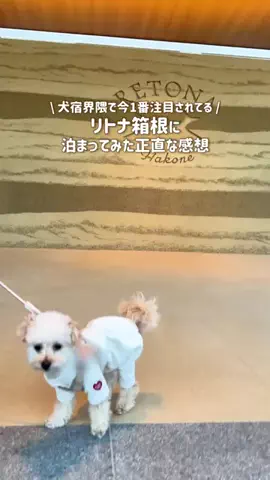 愛犬と行ける関東の宿のTikTok投稿