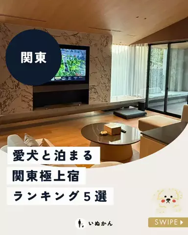 愛犬と行ける関東の宿のTikTok投稿