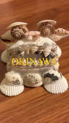 沖縄からあなたへのTikTok投稿