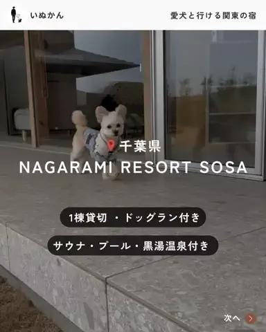 愛犬と行ける関東の宿のTikTok投稿