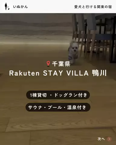愛犬と行ける関東の宿のTikTok投稿