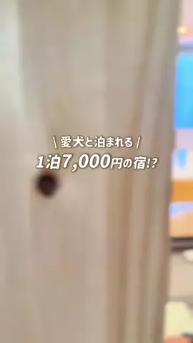 愛犬と行ける関東の宿のTikTok投稿