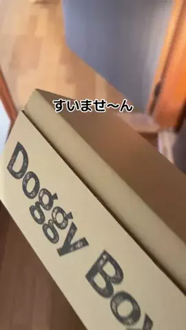 食パン一斤となぴのTikTok投稿