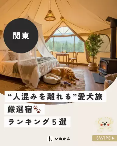 愛犬と行ける関東の宿のTikTok投稿