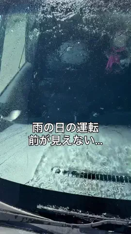 はっしーキャンプのTikTok投稿