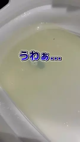 オキシクリーン_公式SHOPのTikTok投稿
