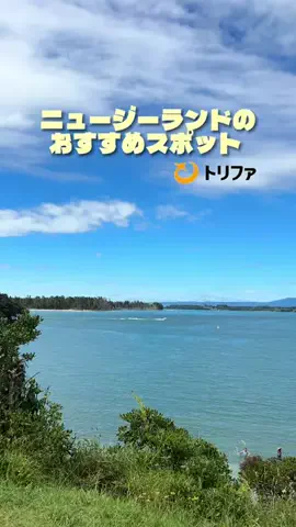 Lisa | リサ 🇳🇿🇯🇵のTikTok投稿