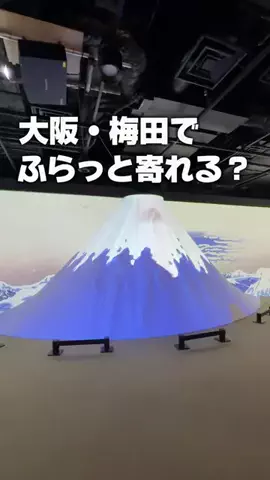 りょうまい｜おでかけ夫婦のTikTok投稿