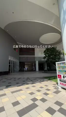 広島大人グルメのTikTok投稿