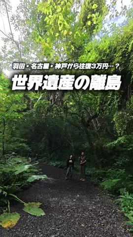 りょうまい｜おでかけ夫婦のTikTok投稿