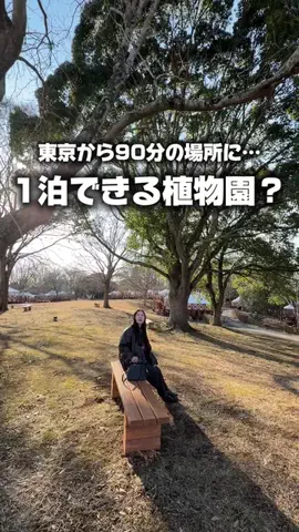 りょうまい｜おでかけ夫婦のTikTok投稿