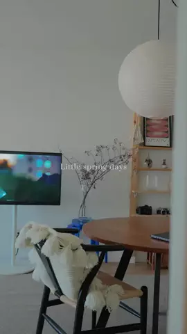 シダ家のTikTok投稿