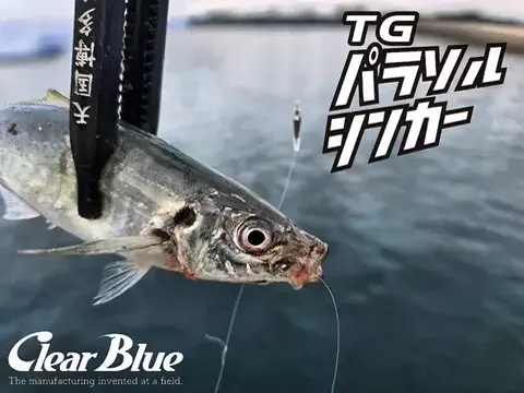 SHIBATARのTikTok投稿