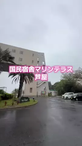 ホーリーゆうのTikTok投稿