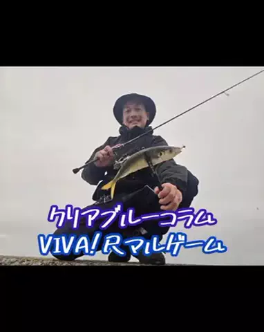 SHIBATARのTikTok投稿