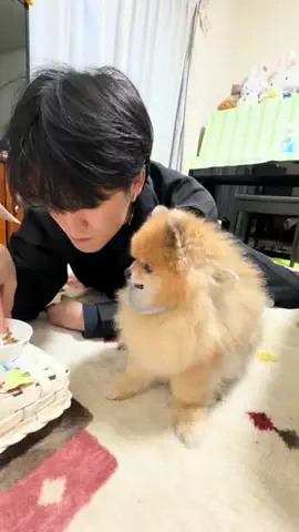 user07744353749のTikTok投稿