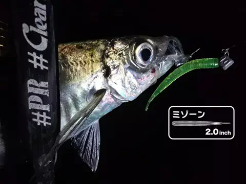 SHIBATARのTikTok投稿