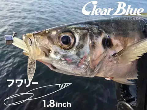 SHIBATARのTikTok投稿