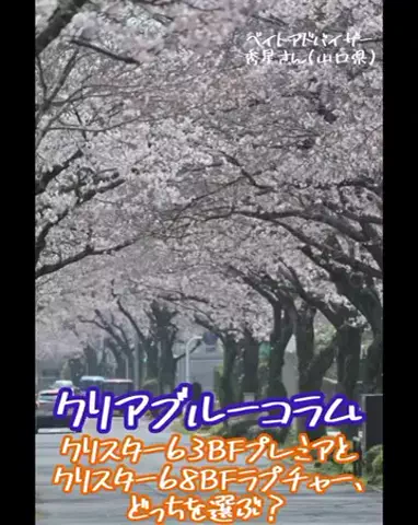 SHIBATARのTikTok投稿