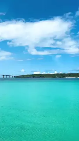 よっぴぃのTikTok投稿