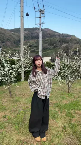 ちゃをのTikTok投稿