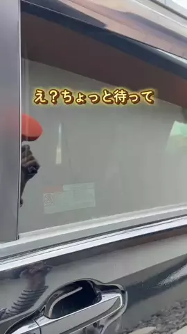 にこまるのTikTok投稿
