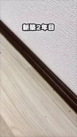 mon ⌇暮らしを整えるスボラ術𓍯*のTikTok投稿