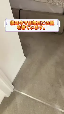 jpecpybco2uのTikTok投稿
