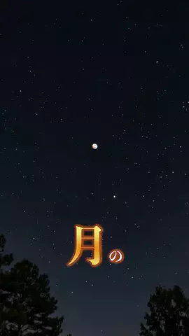 どうもプッカですのTikTok投稿