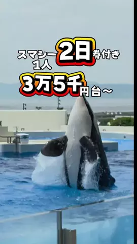 KAKIのTikTok投稿