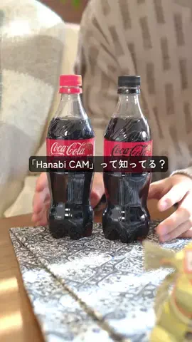 マメのTikTok投稿