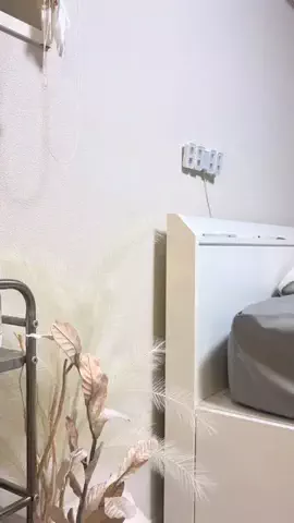 あかりのTikTok投稿