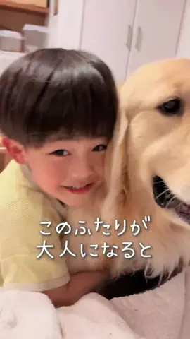 ガチムチゴールデンエルの3兄弟👦🏻👦🏻🐶のTikTok投稿