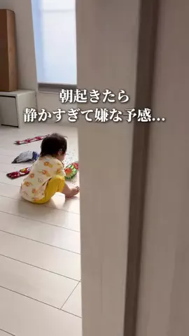 ぴーすけ | シンプル4人暮らし＋🐶のTikTok投稿