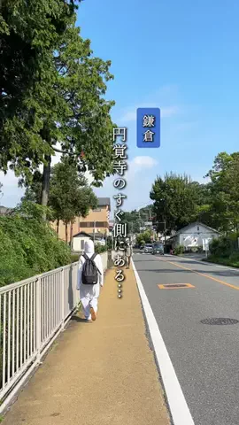 なお | 神奈川発の週末おでかけガイド📘のTikTok投稿